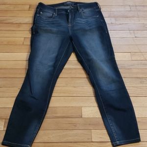 Torrid Women Blue Jeans